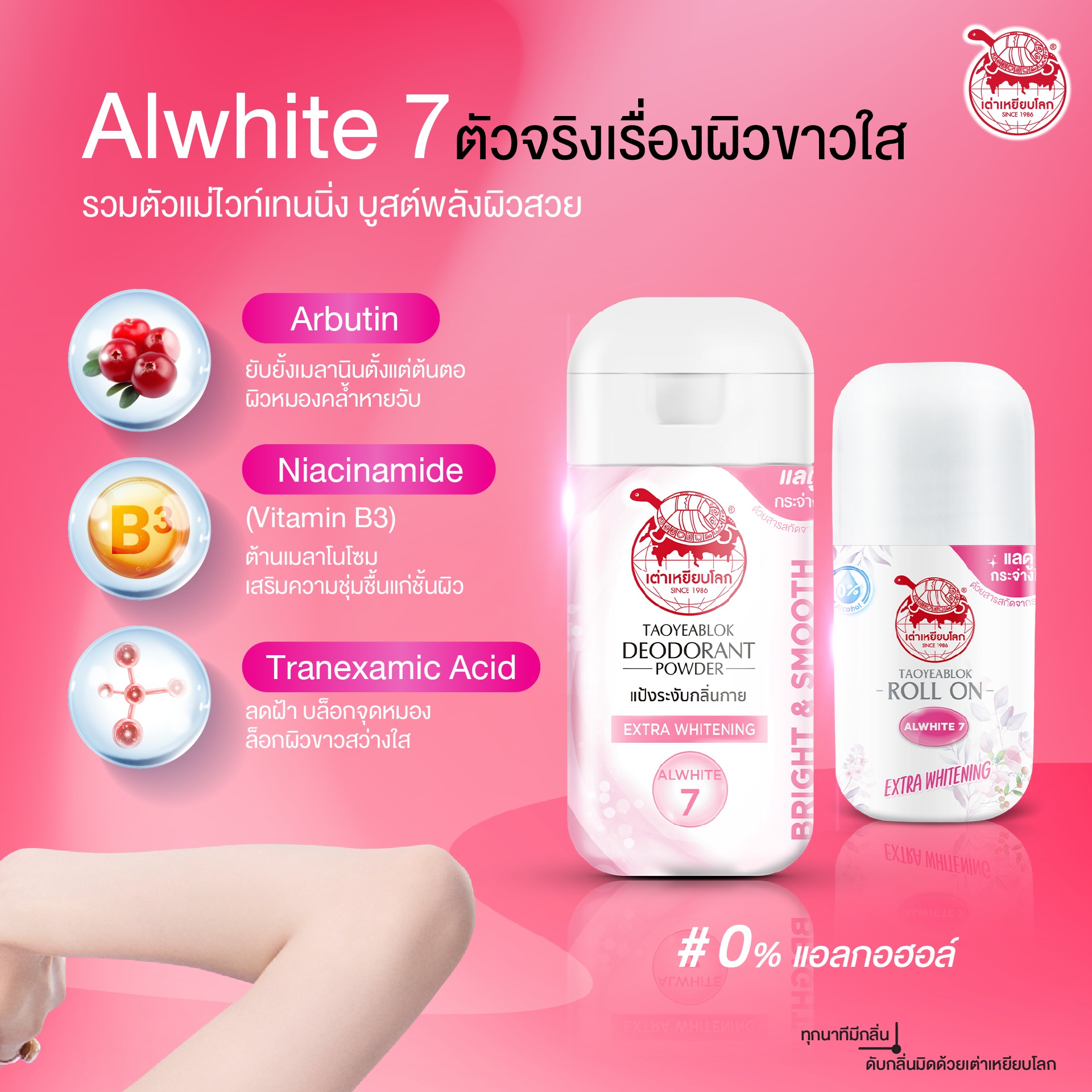 536272610_1167992775361352_8348885012048754725_n